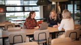 Medewerkers van TrueLime